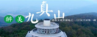 日板子污污区